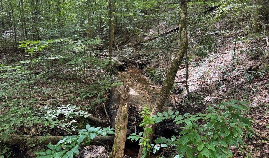 Holiday Lake Road, Appomattox, VA 24522 - 0 Beds, 0 Bath