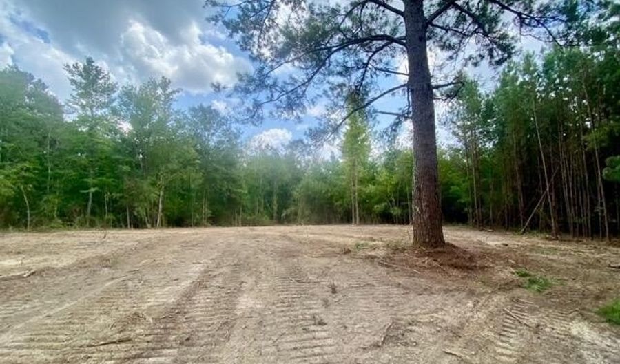 SE Lee Drive, Bogue Chitto, MS 39629 - 0 Beds, 0 Bath