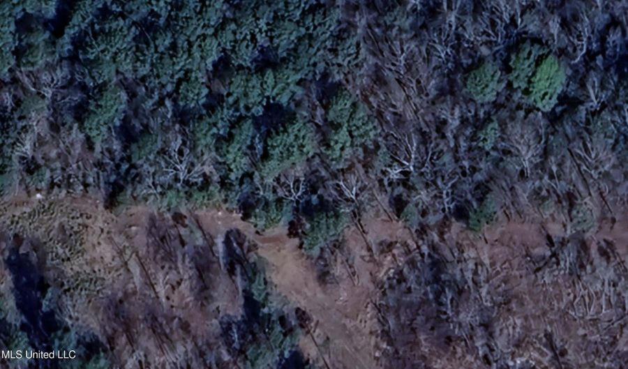 County Road 267 lot 16, Abbeville, MS 38601 - 0 Beds, 0 Bath