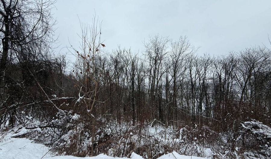 Straub Farm Rd, Aliquippa, PA 15001 - 0 Beds, 0 Bath