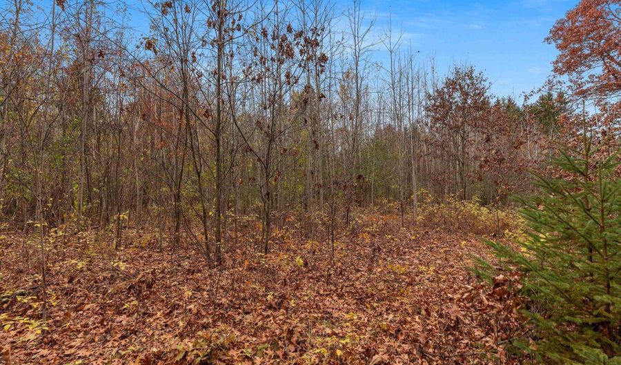 8752 HWY A, Almond, WI 54909 - 0 Beds, 0 Bath