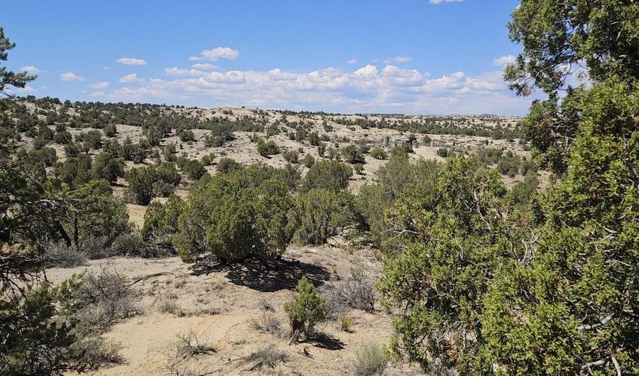 NM 574, Aztec, NM 87410 - 0 Beds, 0 Bath