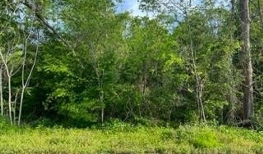226 23rd Ave Lot L18 & 19/Blk 233, Apalachicola, FL 32320 - 0 Beds, 0 Bath