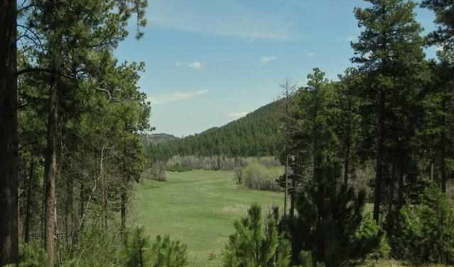 Government Lots HIGHWAY 85, Deadwood, SD 57732 - 0 Beds, 0 Bath