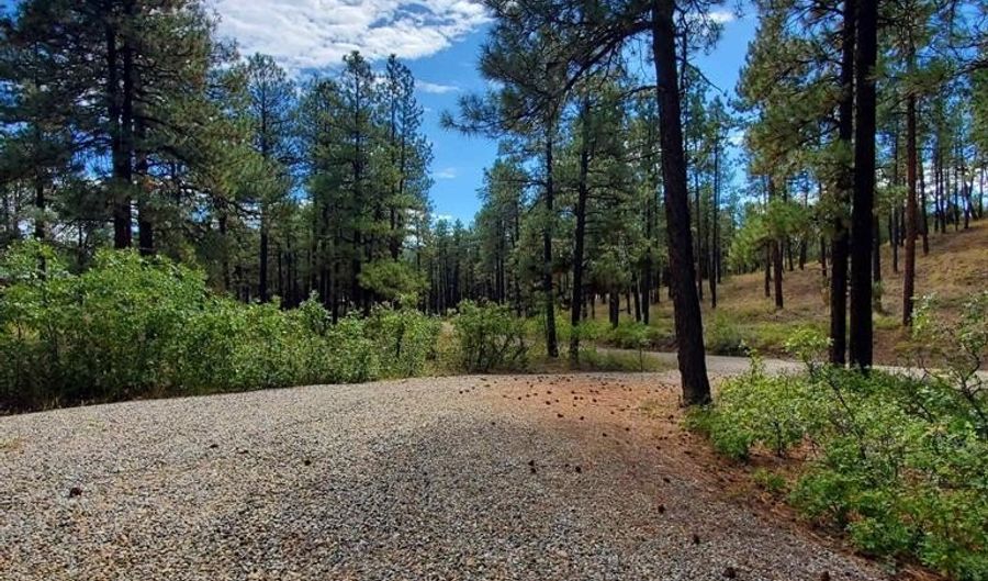 282 Pine Ln, Bayfield, CO 81122 - 0 Beds, 0 Bath