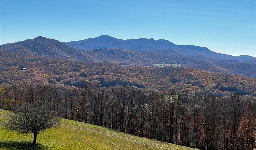 Site C Chappell Farm Road, Banner Elk, NC 28604 - 0 Beds, 0 Bath