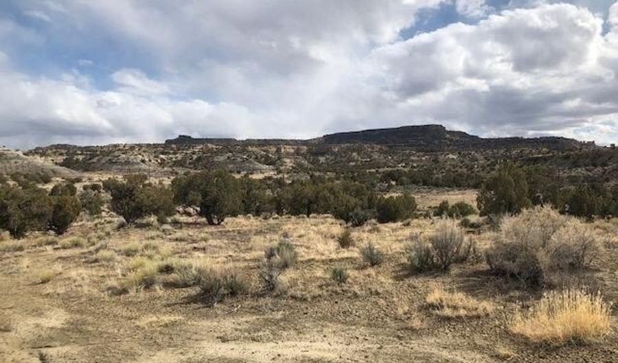 Xx ROAD 4990, Bloomfield, NM 87413 - 0 Beds, 0 Bath