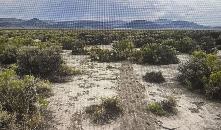 APN 066-260-50, Gerlach, NV 89412 - 0 Beds, 0 Bath