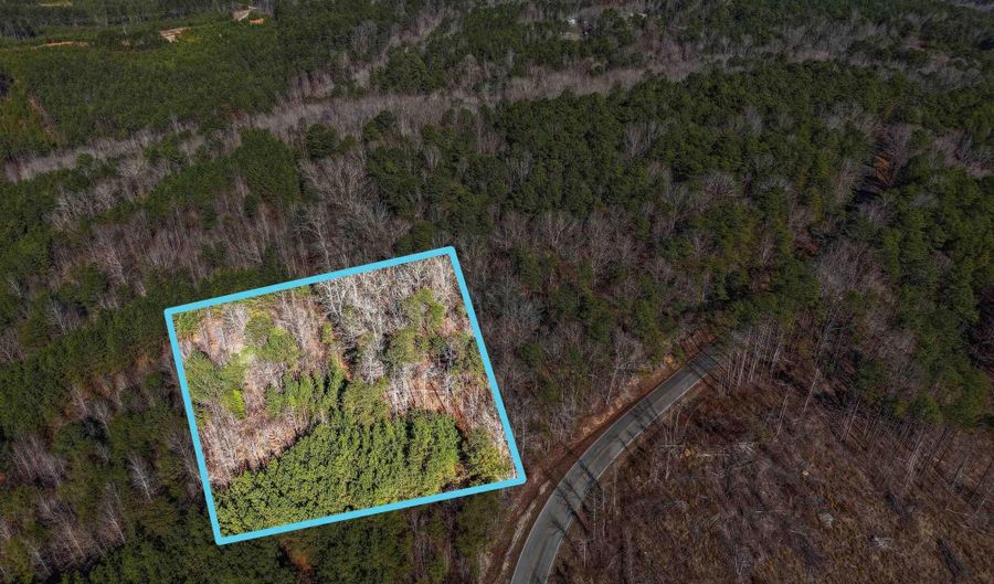 15065 LOCK 17 Rd Lot 1, Adger, AL 35006 - 0 Beds, 0 Bath