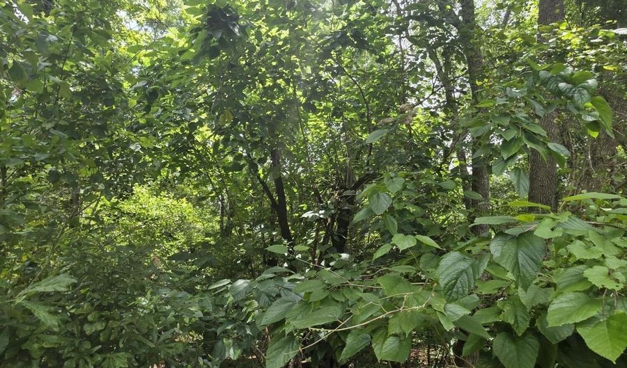 River Rd, Bascom, FL 32423 - 0 Beds, 0 Bath