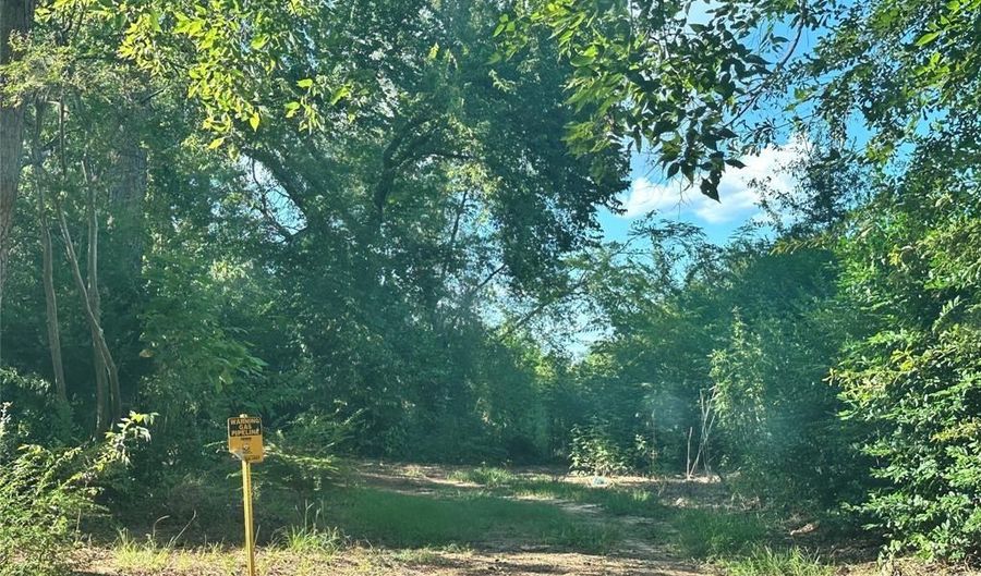 Lot 42 Harris, Sulphur Springs, TX 75482 - 0 Beds, 0 Bath