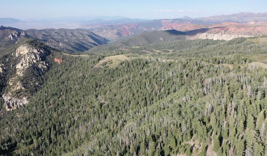 20 Ac W Of Dry Lakes Rd, Brian Head, UT 84719 - 0 Beds, 0 Bath