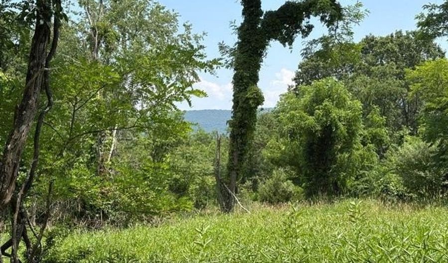 FOX RUN lot 24A 3.22 Ac, Baker, WV 26801 - 0 Beds, 0 Bath