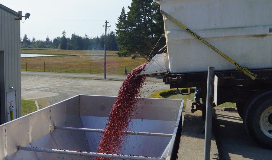 54980 MORRISON Rd, Bandon, OR 97411 - 4 Beds, 4 Bath