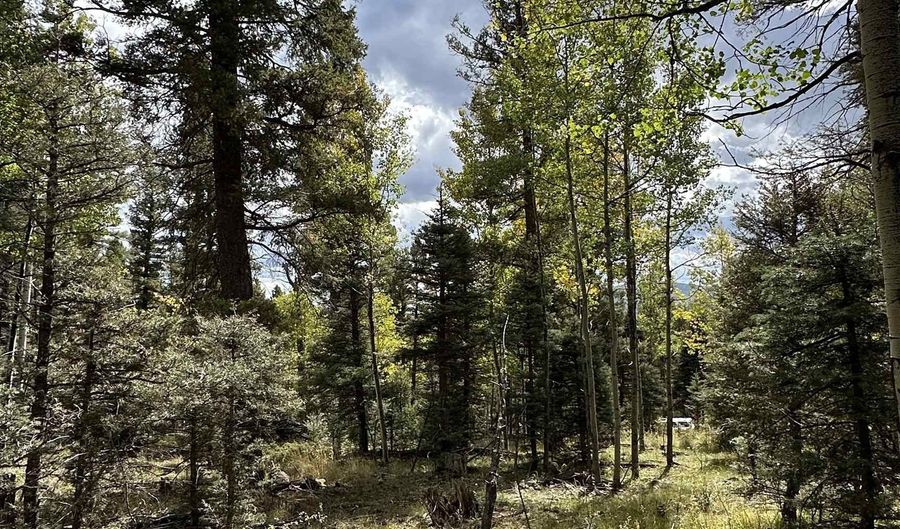 Lot 1407 Camino Real, Angel Fire, NM 87710 - 0 Beds, 0 Bath