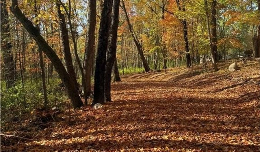 999 Porcupine Trl, Aitkin, MN 56431 - 0 Beds, 0 Bath