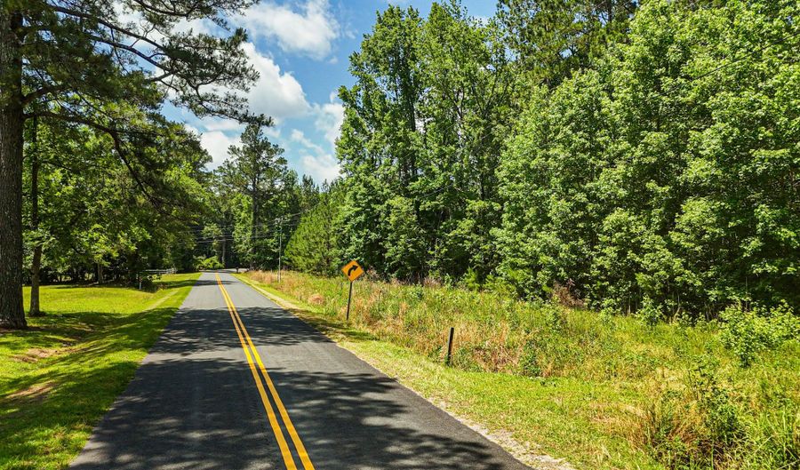 1 Mcalhany Rd, Branchville, SC 29432 - 0 Beds, 0 Bath