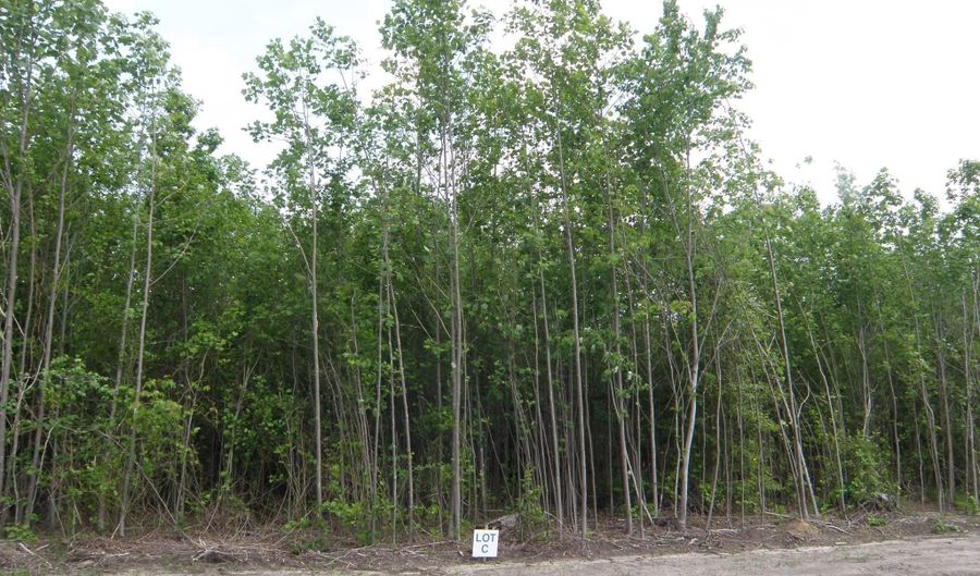 EASEMENT OFF OF SHORTLY RD lot C - 133-9.00-9.18, Georgetown, DE 19947 - 0 Beds, 0 Bath