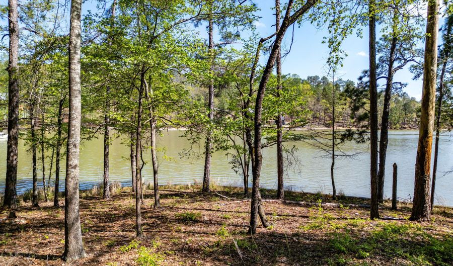 910 Luannes Way, Alexander City, AL 35010 - 0 Beds, 0 Bath