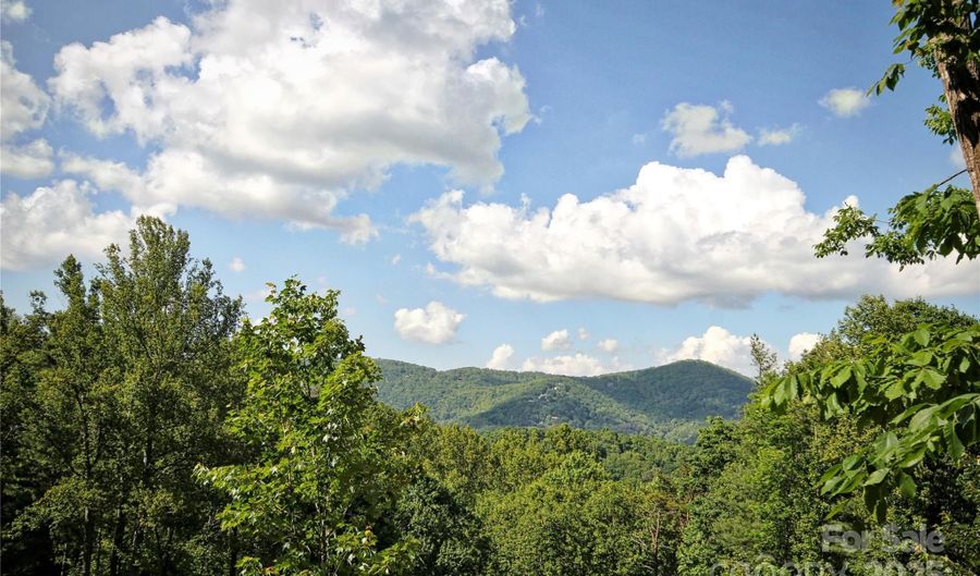 68 Wolfebridge Ln 16, Asheville, NC 28804 - 0 Beds, 0 Bath