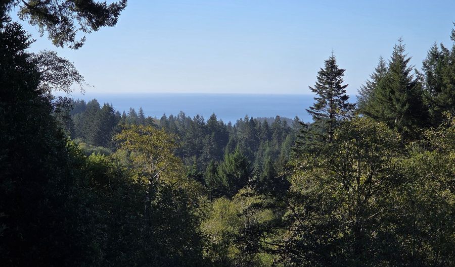 96420 ALDER RIDGE Rd, Brookings, OR 97415 - 3 Beds, 2 Bath