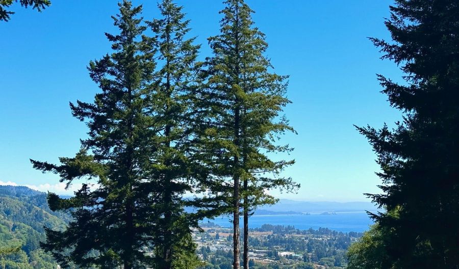 16945 PACIFIC VIEW Dr, Brookings, OR 97415 - 2 Beds, 2 Bath