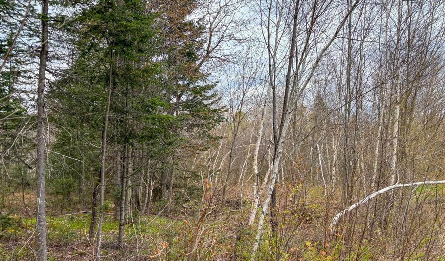 Atwood Road lot 2, Brighton, VT 05846 - 0 Beds, 0 Bath