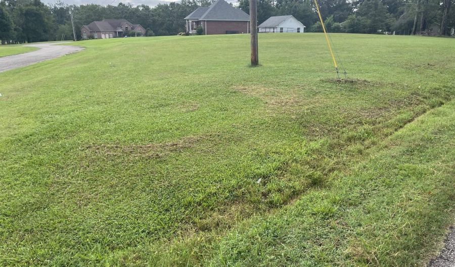 CANEY BRANCH Rd lot 34, Adamsville, TN 38310 - 0 Beds, 0 Bath