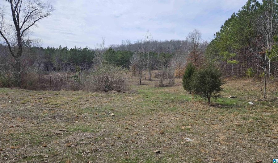 8900 COUNTY ROAD 31, Ashville, AL 35953 - 0 Beds, 0 Bath
