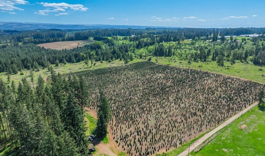 25402 S SCHOCKLEY Rd, Beavercreek, OR 97004 - 3 Beds, 2 Bath