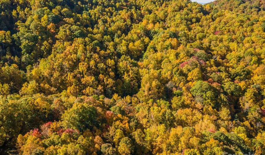 99999 Harwood Rd, Barnardsville, NC 28709 - 0 Beds, 0 Bath