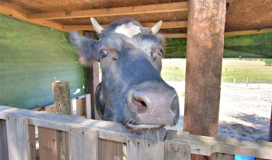 715 FAZZINI Rd, Babson Park, FL 33827 - 4 Beds, 2 Bath