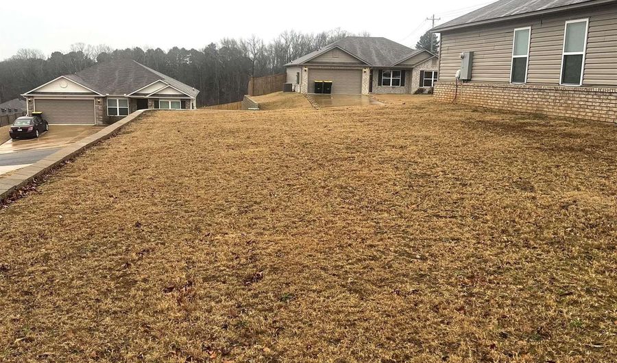 11 Erwin Dr, Austin, AR 72007 - 3 Beds, 2 Bath