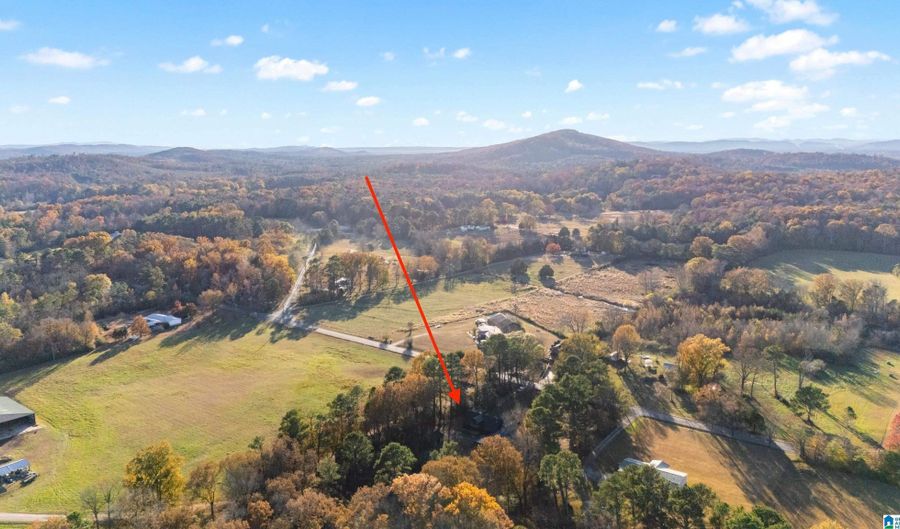 1790 RAY WYATT Rd, Ashville, AL 35953 - 4 Beds, 3 Bath