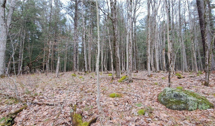 Sweet Point Rd, Alexandria Bay, NY 13607 - 0 Beds, 0 Bath