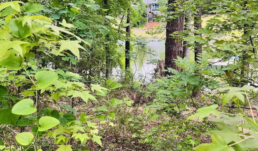 Aiken St, Batesburg Leesville, SC 29070 - 0 Beds, 0 Bath