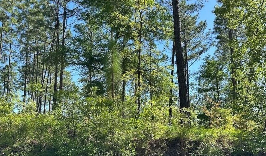 00 DELL Rd, Bainbridge, GA 39819 - 0 Beds, 0 Bath
