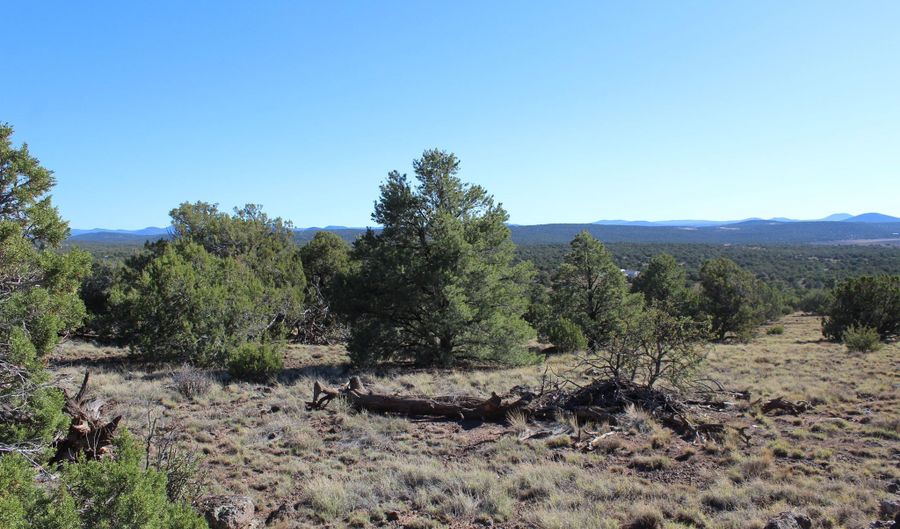 6 County Road 8052, Concho, AZ 85924 - 0 Beds, 0 Bath