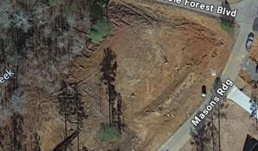 Lot 51 Cole Forest Blvd LOT 51, Barnesville, GA 30204 - 0 Beds, 0 Bath