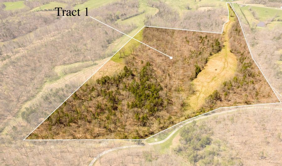 Tract 1 Cat Ridge Rd, Waddy, KY 40076 - 0 Beds, 0 Bath