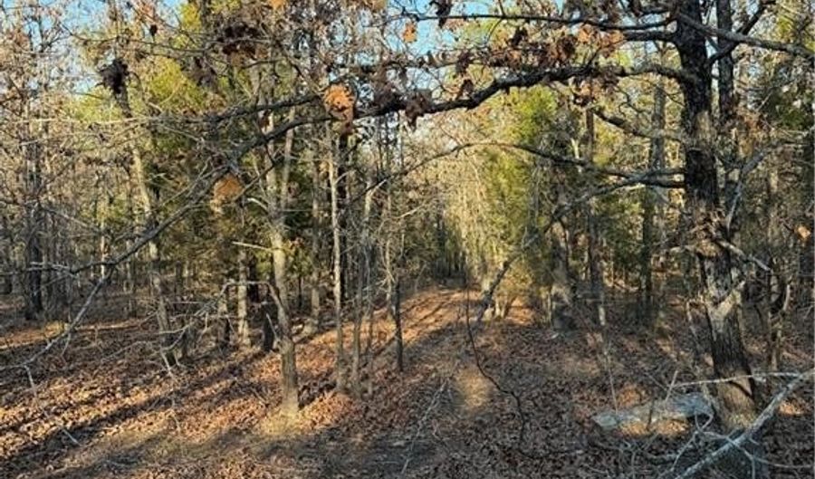 TBD Rural Atoka, Atoka, OK 74525 - 0 Beds, 0 Bath