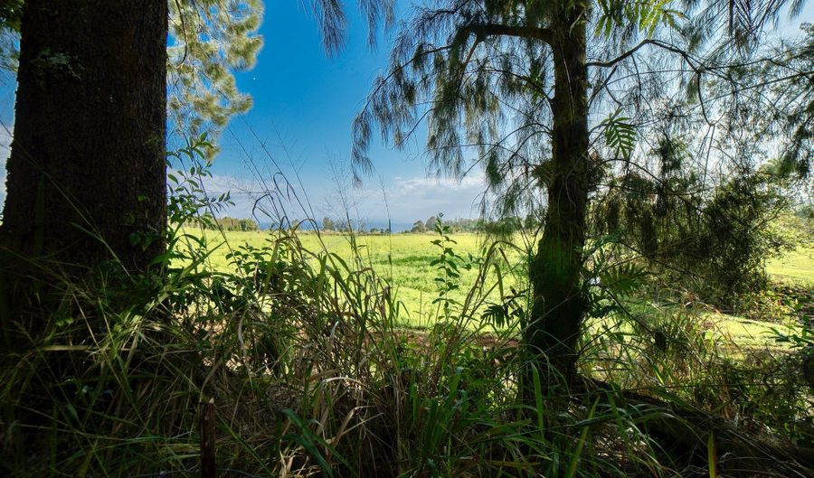 29-509 CHIN CHUCK Rd, Hakalau, HI 96710 - 0 Beds, 0 Bath