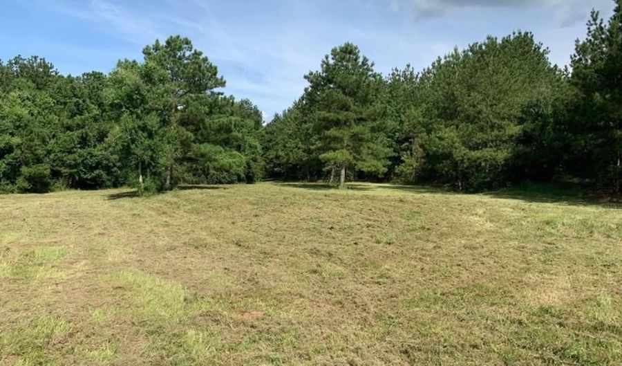 000 Mt Pleasant Ln SE, Bogue Chitto, MS 39629 - 0 Beds, 0 Bath