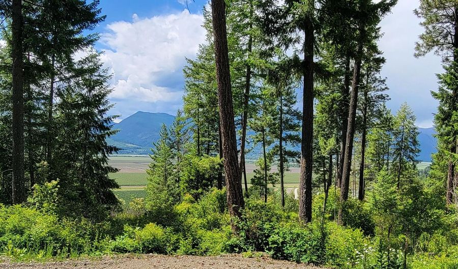 Smugglers Ln Tract A E, Bonners Ferry, ID 83805 - 0 Beds, 0 Bath