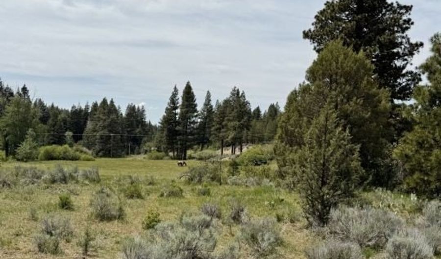 Cedar Way, Alturas, CA 96101 - 0 Beds, 0 Bath