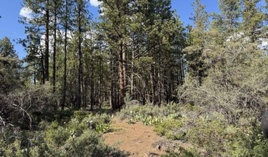 Thunder Bear Road, Bonanza, OR 97623 - 0 Beds, 0 Bath