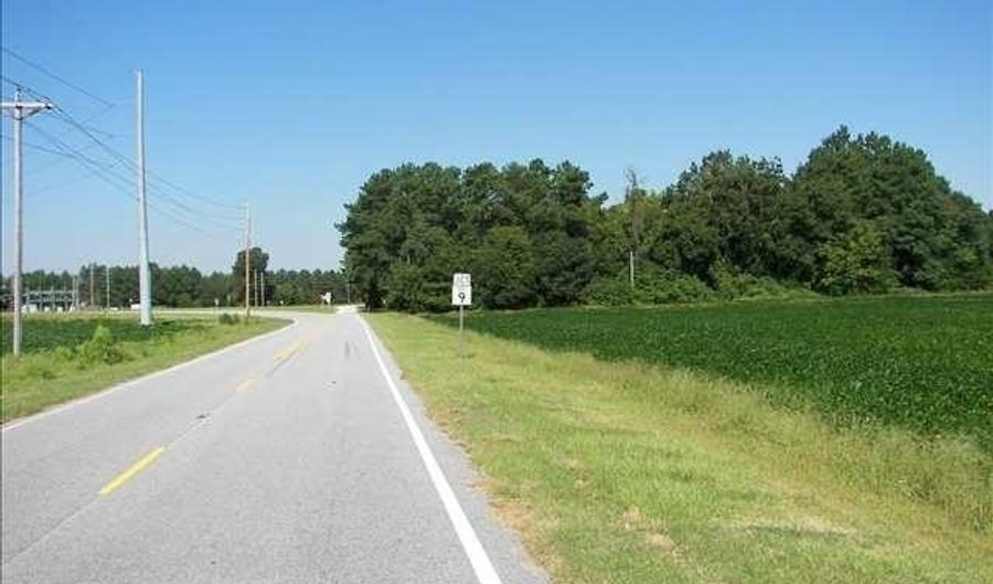 Beauty Spot Road, Bennettsville, SC 29512 - 0 Beds, 0 Bath