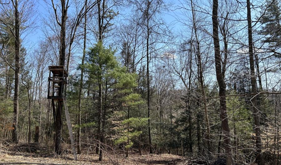 TALLMAN HOLLOW ROAD LOT #5, Montoursville, PA 17754 - 0 Beds, 0 Bath
