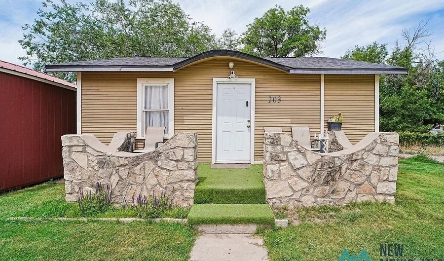 203 S Mesa St, Carlsbad, NM 88220 - 3 Beds, 1 Bath