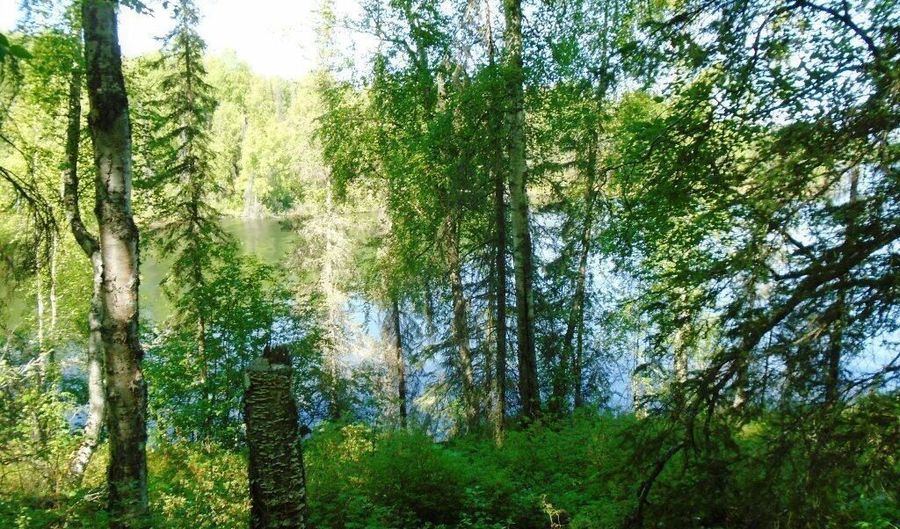 Tr A W No Road, Big Lake, AK 99652 - 0 Beds, 0 Bath